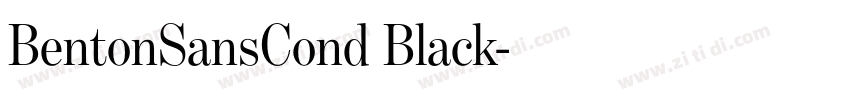 BentonSansCond Black字体转换